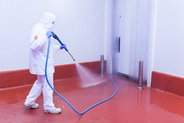 Best Pre-Holiday Cleaning  in Tullahoma, TN